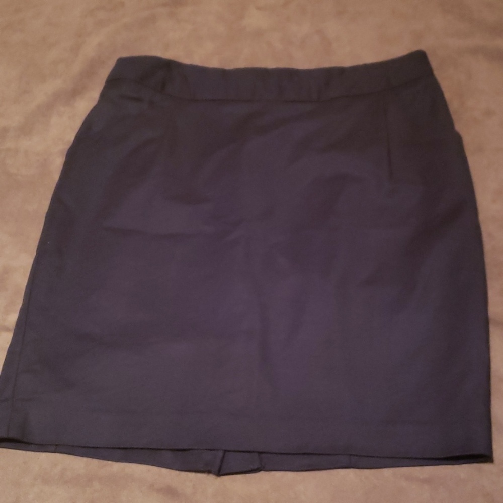 Dalia Collection Modern Fit Navy Skirt